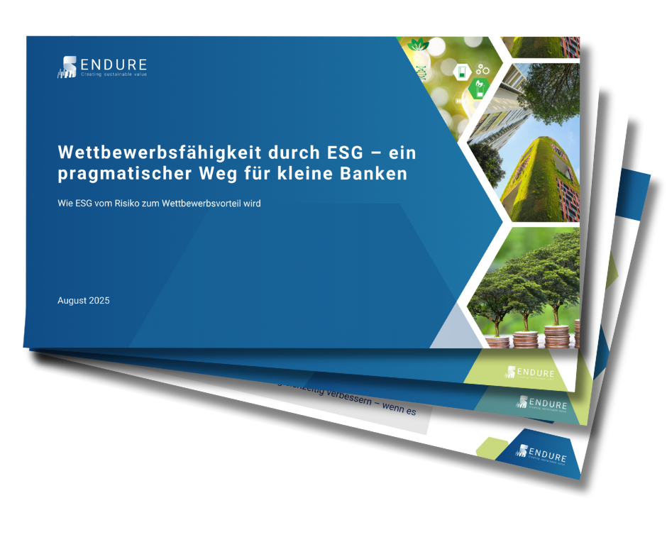 Anzeigebild_ESG-3 Pragmatischer ESG-Fahrplan