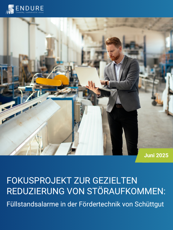 Endure Consulting 2 Monats Tunraround<br />
